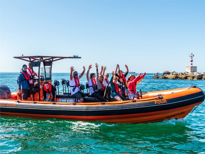 Cascais: Dolphin Watching Tour - What the top reviews taught me to expect