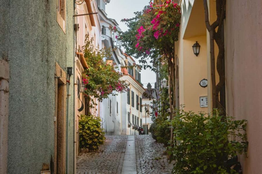 Cascais: Flexible Walking Tour in Historic Center - Condes de Castro Guimarães Museum and the Museum Quarter