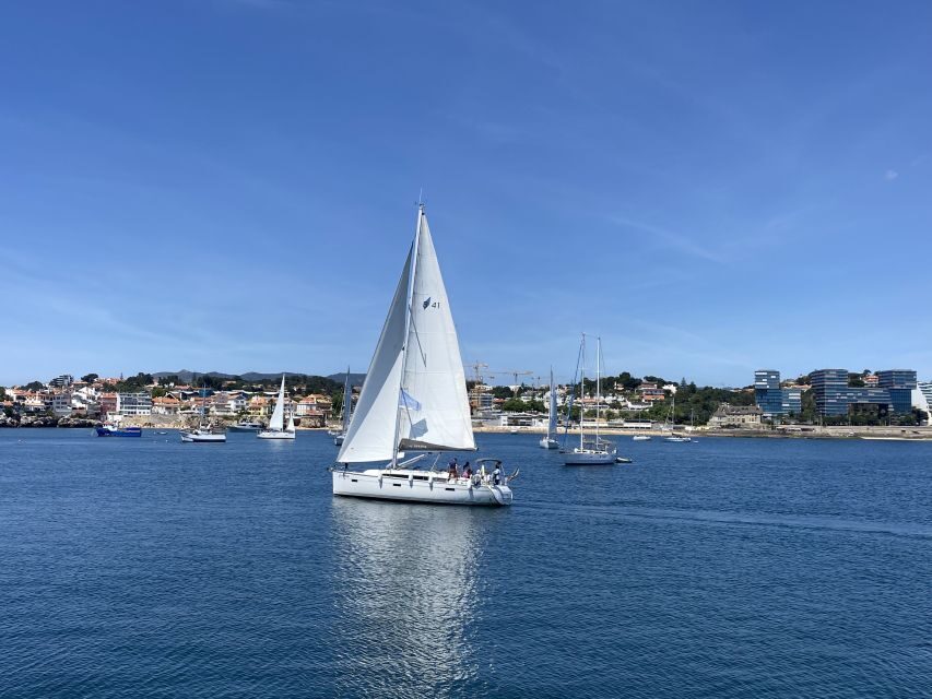Cascais: Sailing Tour with Drink - Anchor time and swimming: the part that turns sightseeing into relaxation