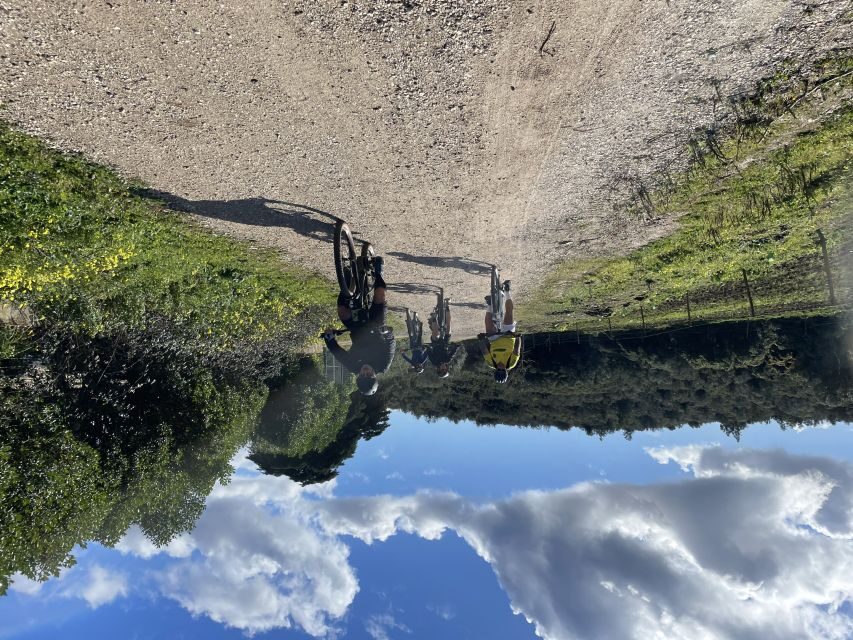 Cascais-Sintra E-bike Tour: Coast & Countryside Adventure - Who should book this tour (and who should skip)