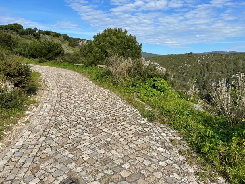 Cascais-Sintra E-bike Tour: Coast & Countryside Adventure - Should you book the Cascais-Sintra E-bike Coast & Countryside Adventure?