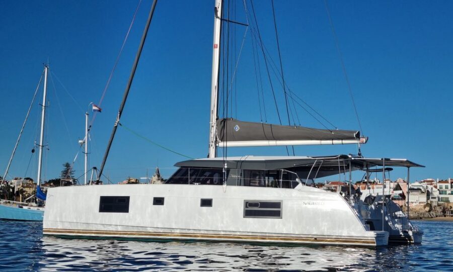 Cascais:Luxury Private Sailing Catamaran Cruise with a Drink - What to watch for at sea: birds, dolphins, and windsurfers