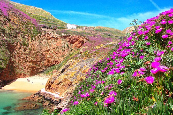 Catamaran trip to Berlengas Island + visit to the caves - Price and value: what $60.21 includes (and what adds on)