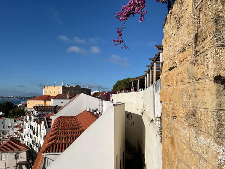 Chaparru's Tours_Lisbon:2-hour sightseeing tour by TukTuk - Alfama focus: narrow streets, tight corners, real atmosphere
