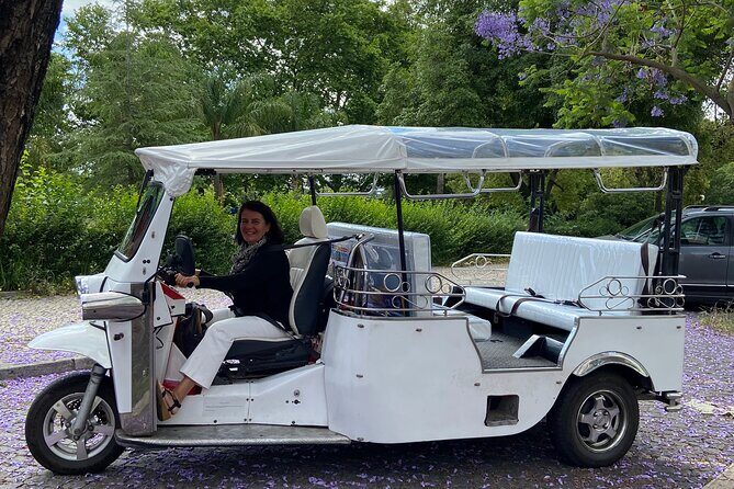 Classic Lisbon & Earthquake Tour by Private Tuk Tuk (4 Hours) - Miradouro São Pedro de Alcântara and Principe Real: the quick view that resets your day