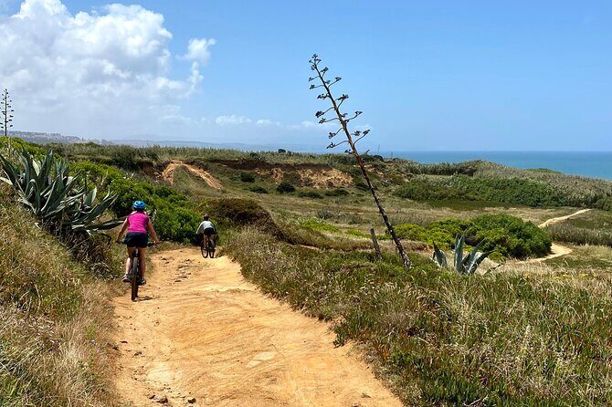 Cliff Top Ride - Key highlights you’ll actually feel