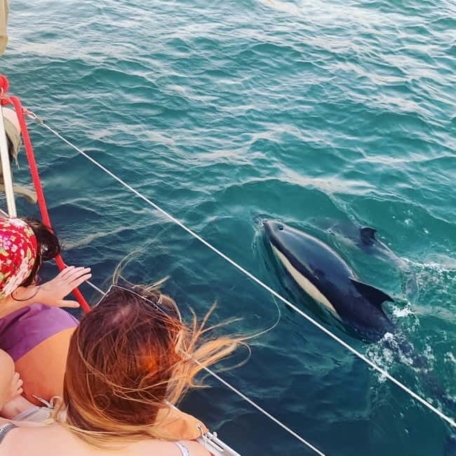 Cultural Sailing Tour in Lisbon - Meeting at Belém Marina: find the Rent a Boat stand quickly