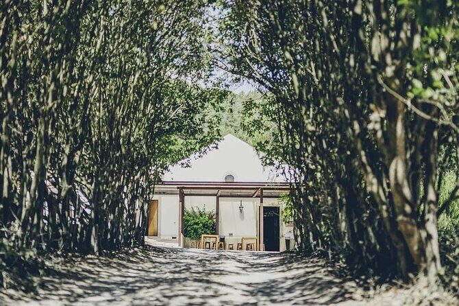 Discover Setúbal´s Secrets: Wine, Culture&Arrabida Magic| PRIVATE - Azeitão tiles: learning the craft in a small artisan workshop