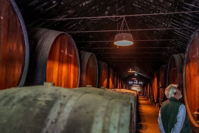 Douro Valley Private Day Trip from Lisbon: Vineyards & River View - Timing and logistics: plan for a long day and bring the right mindset