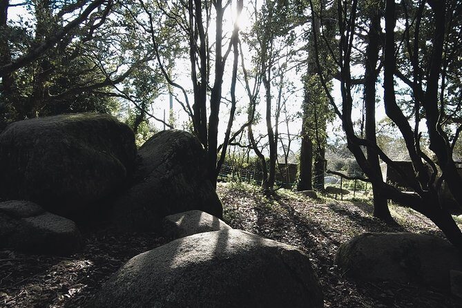 Epic Off-Road Adrenaline in Sintra - Guides make or break it: what Ruben, Nelson, Mario, and others do well