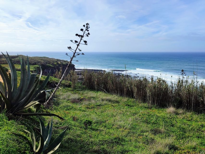 Ericeira Private Tour: 10 Tastings Food Tour - Price and value: why $118 can be fair for a private 10-tasting tour
