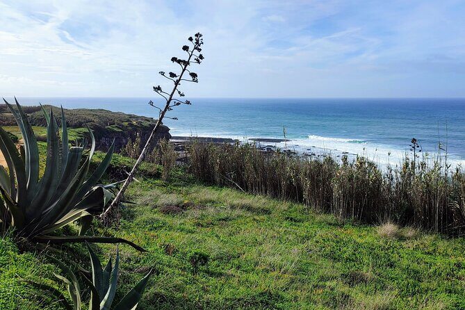 Ericeira Private Tour: 10 Tastings Food Tour - Surf interpretive center and old sea farms: how one sport changed jobs