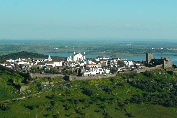 Evora and Monsaraz Wine Tasting Private Tour - Guide service and private-group feel: the difference you notice
