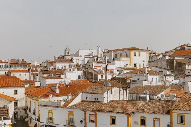 Évora, medieval village Monsaraz & Wine Tasting - Évora District: where the cork, olives, and vineyards set the mood