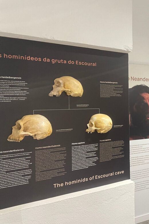 Évora or Montemor: Guided Tour of the Escoural Caves - FAQ