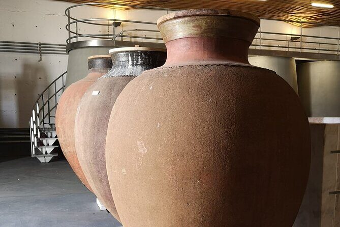Évora Private Tour - Cork Factory and Wine Estate Included - Historic center free time: lunch without the panic