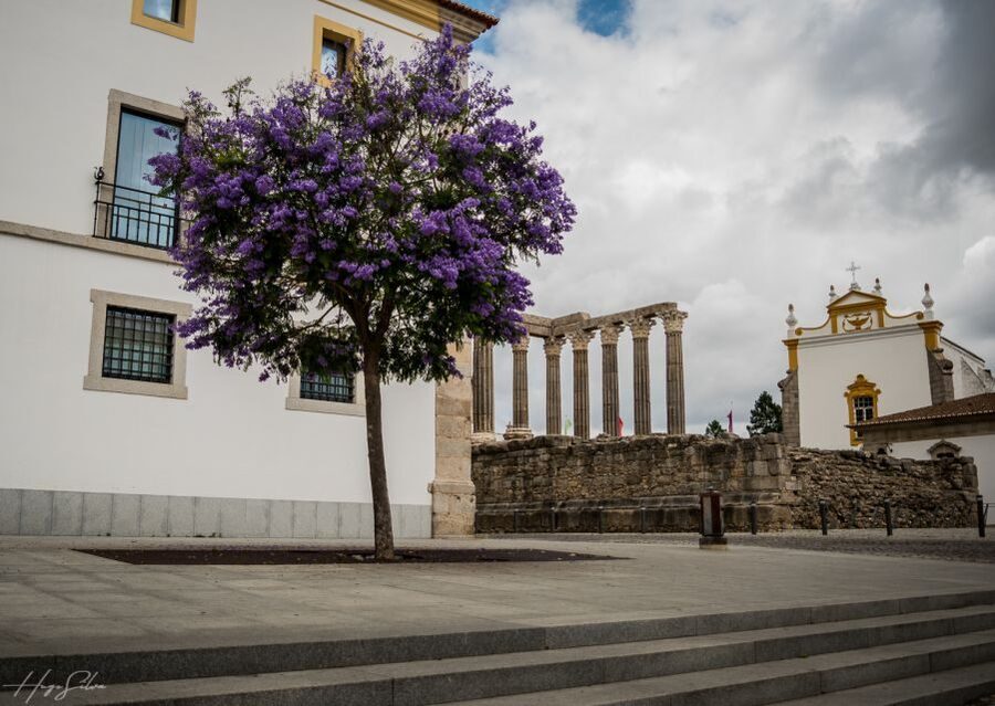 Évora: Tales and Legends Guided Walking Tour - Price and value: what $55 really buys you