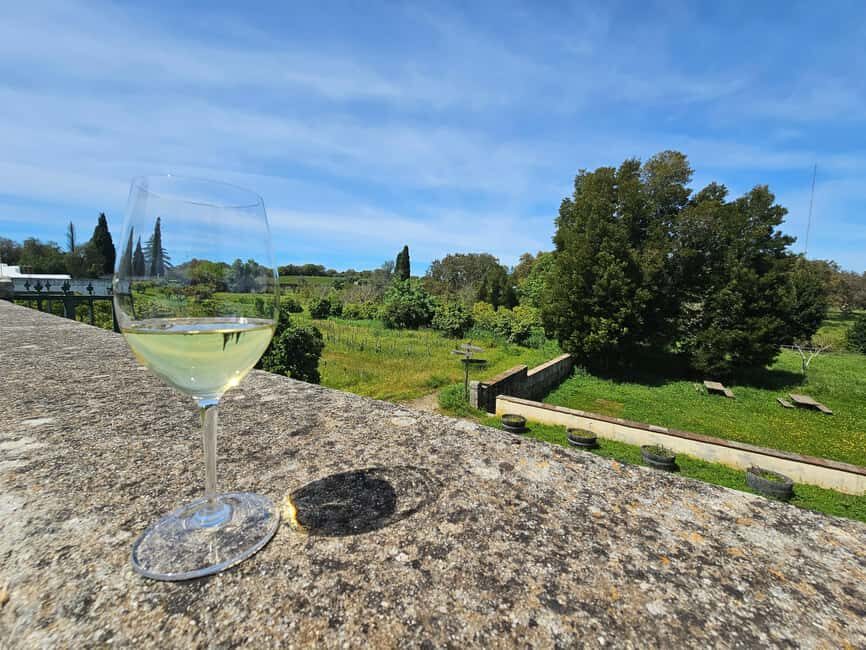 Évora (with Sé & Bones), Evoramonte & Arraiolos: From Lisbon - Cartuxa vineyard stop: views and optional wine tasting