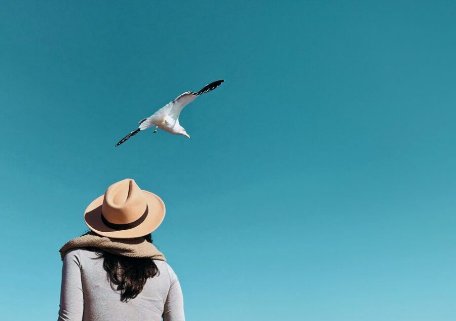 Exclusive tour by car - Sintra city and Cascais city - The 4.5-Hour Flow: Why This Works (and When It Feels Tight)