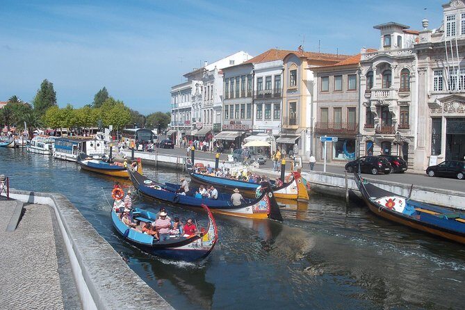 Explore Porto & Aveiro within Riverboat Cruises - Private Full Day Tour from Lisbon with Lunch - Bridge climb energy plus a six-bridges Douro cruise