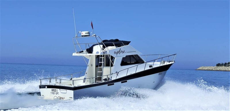 Explore Sesimbra: Sport Fishing All Inclusive half-day trip - Calm-Water Fishing in Sesimbra (Why This Area Works)