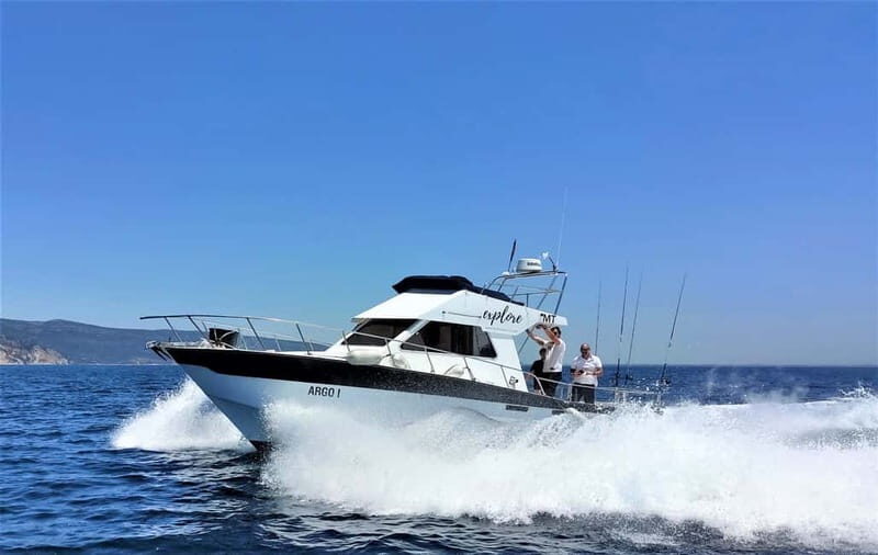 Explore Sesimbra: Sport Fishing All Inclusive half-day trip - Price and Value: Why $227 Can Make Sense for an All-Inclusive Half-Day