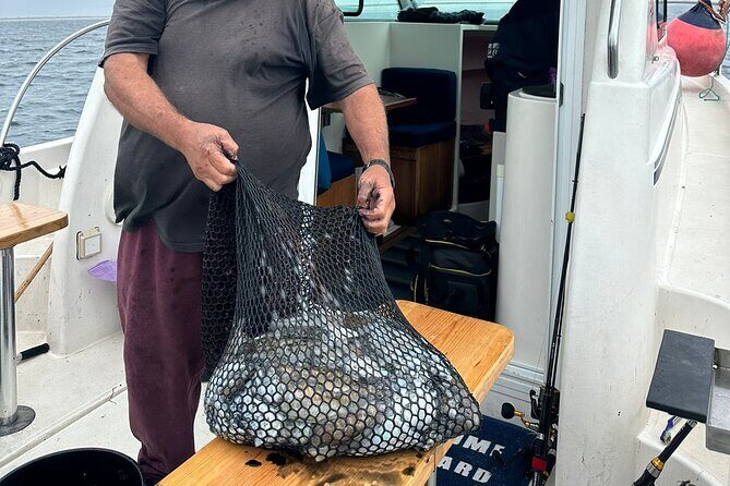 Explore Sesimbra Sports Fishing - Shock fishing / schoules: timed for dawn and late afternoon