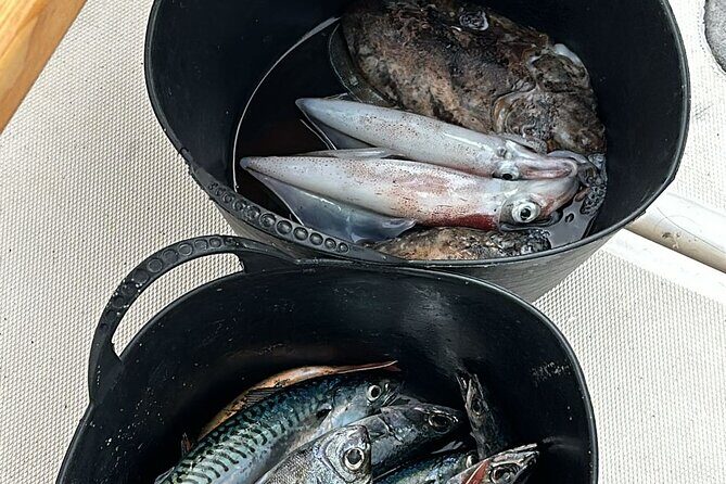 Explore Sesimbra Sports Fishing - Boat comfort, safety, and what’s actually included