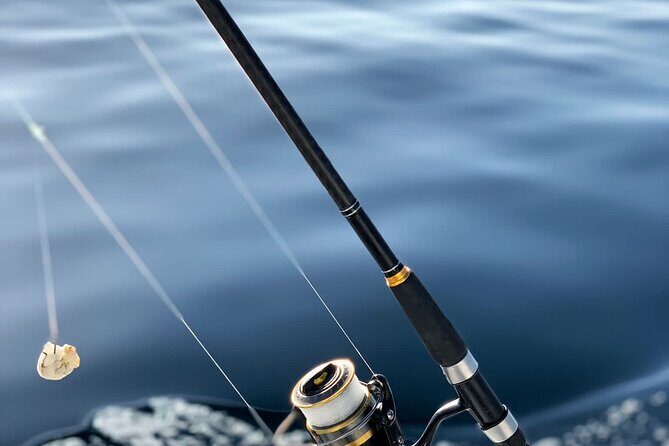 Explore Sesimbra Sports Fishing - Pica-pica (fishing for divers): the year-round variety plan