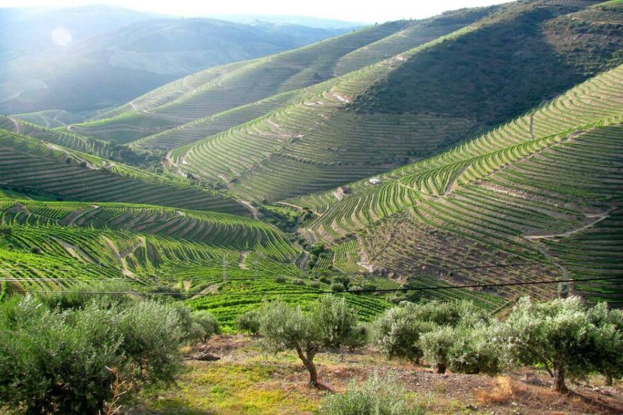 Fatima, Batalha, Nazare, Obidos Private Full Day Tour - A Private 8-Hour Route From Lisbon: How the Day Flows
