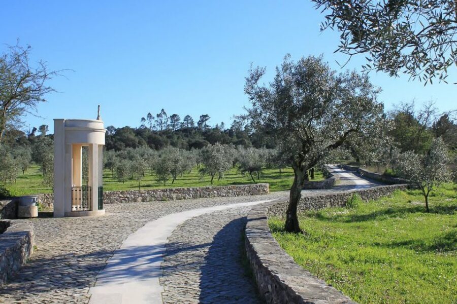Fatima, Batalha, Nazare, Obidos Private Full Day Tour - Should You Book This Fatima, Batalha, Nazaré, and Óbidos Private Tour?