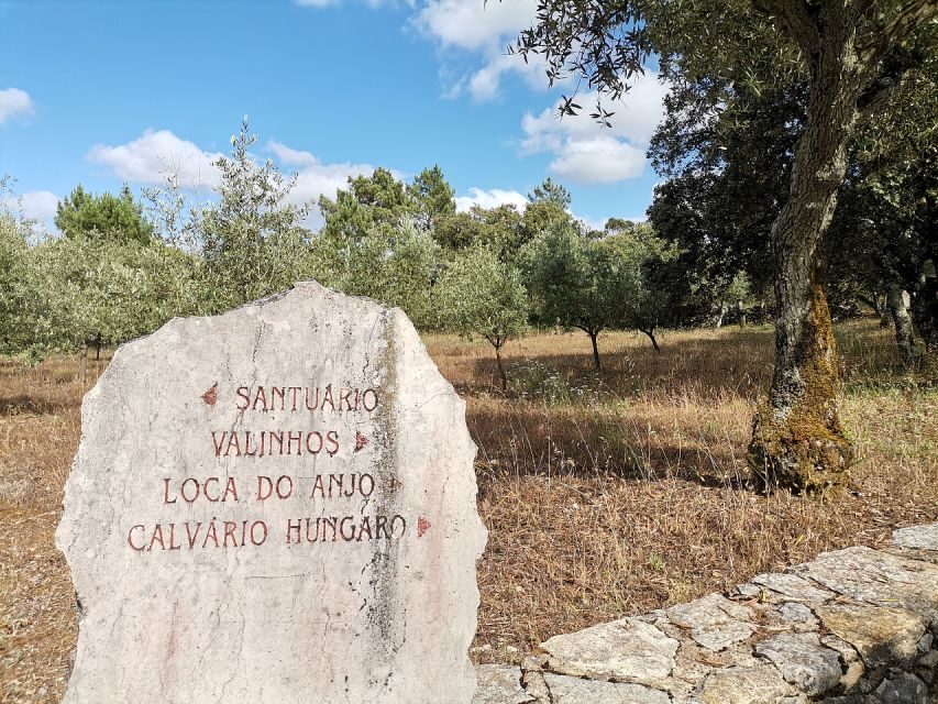 Fatima Full-Day Private Personalized Pilgrimage from Lisbon - Why this private Fatima day works better than a rush-job