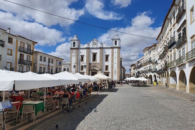 From Lisboa: Évora & Monsaraz Small-Group Full Day Tour - Palacio de Dom Manuel: palace gardens and a quick royal walk