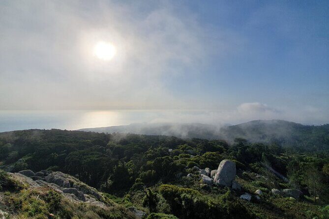 From Lisboa: Sintra, Cabo da Roca & Cascais Private Full Day Tour - Stop 2: The village of Sintra (and the pastry stop worth caring about)