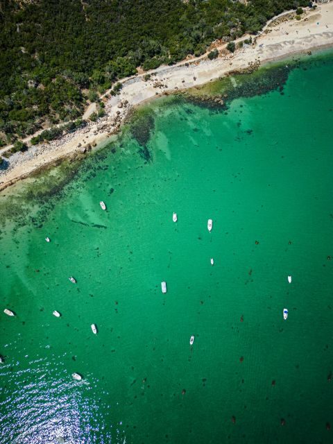 From Lisbon: Arrábida, Azeitão, Sesimbra, Palmela, Setúbal … - Getting around: private comfort, photo-friendly stops, and electric-vehicle style