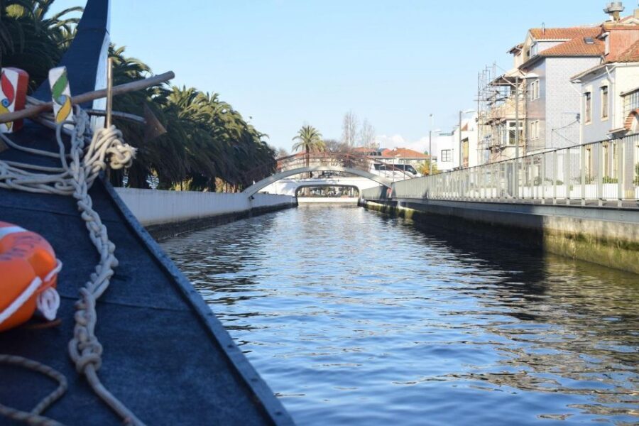 From Lisbon: Aveiro and Coimbra Food Experience - Key highlights to look for