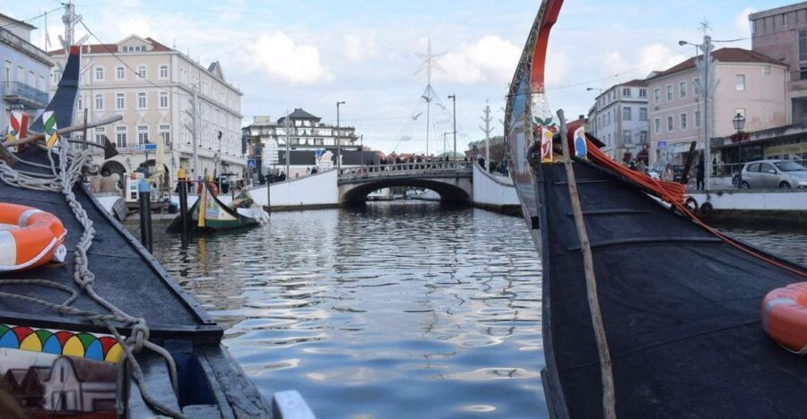 From Lisbon: Aveiro and Coimbra Food Experience - A 12-hour route that links canals, pig, and Portugal’s first capital