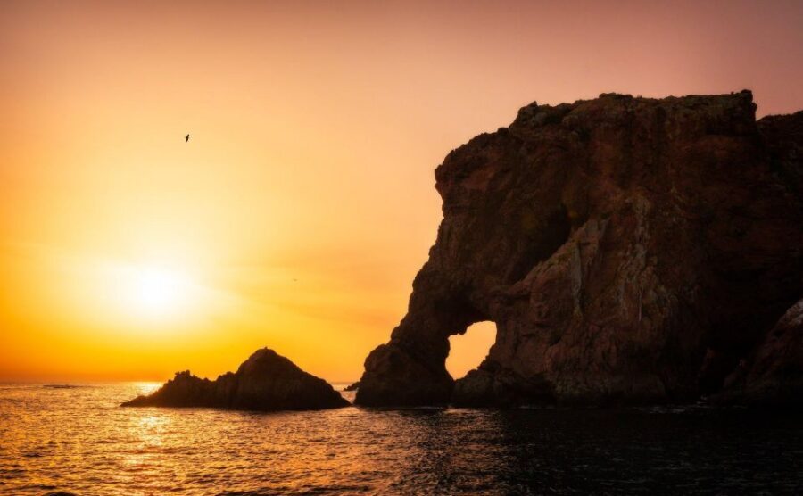 From Lisbon: Berlenga Grande Island Private Tour - Lisbon to Peniche: The Easy Start That Actually Matters