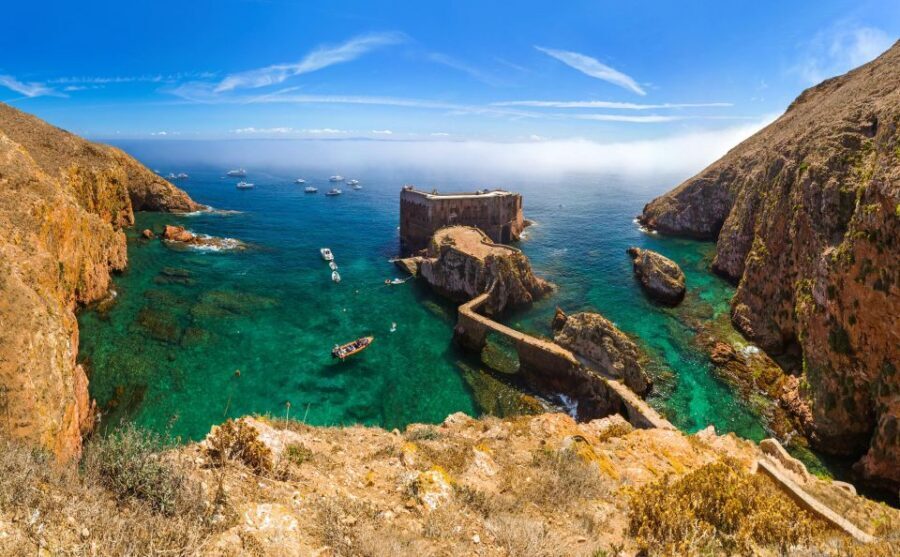 From Lisbon: Berlenga Grande Island Private Tour - Berlenga Grande Island: Caves, Swimming, and a Nature Reserve Walk