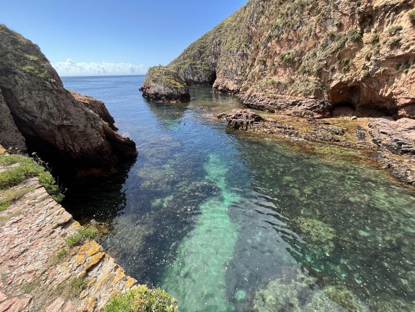 From Lisbon: Berlenga Grande Sightseeing Tour - Key Points at a Glance