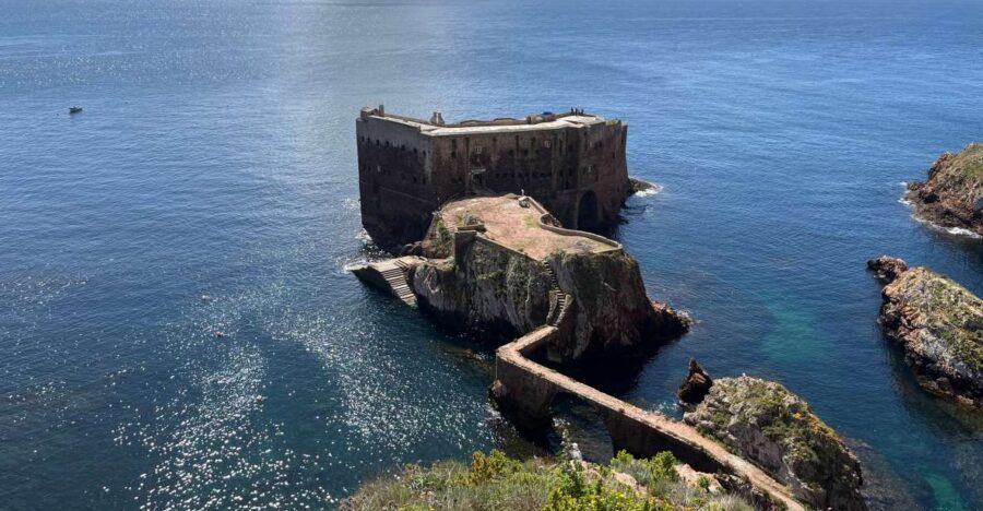 From Lisbon: Berlenga Grande Sightseeing Tour - Peniche Stop: More Than Just a Name on Your Map