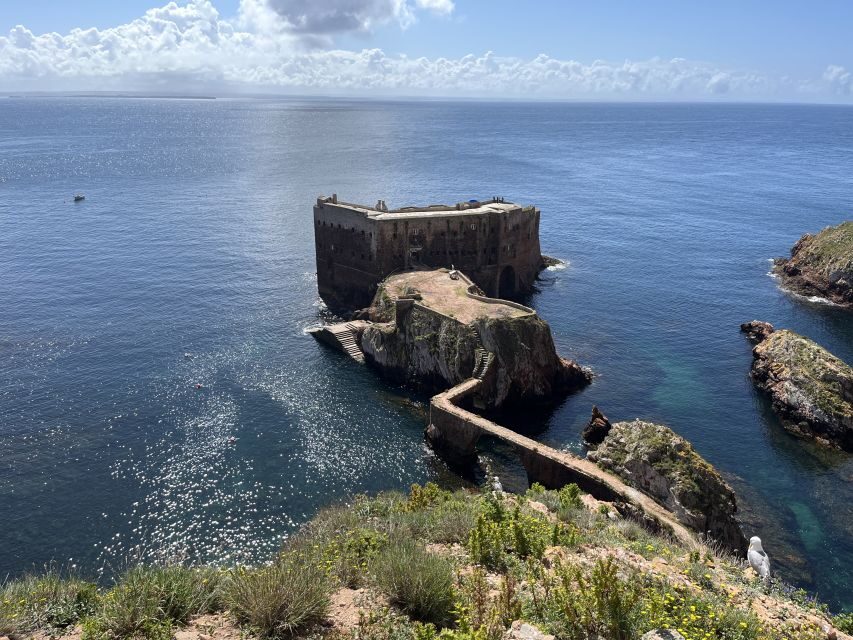From Lisbon: Berlenga Grande Sightseeing Tour - The UNESCO Biosphere Reserve Side of the Story