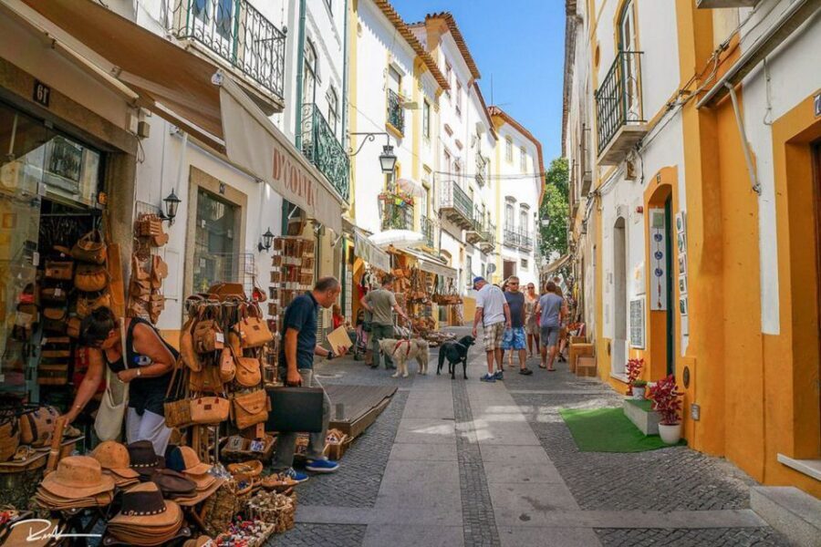 From Lisbon: Évora City Private Tour - Exploring Évora’s UNESCO core with a 1-hour visit