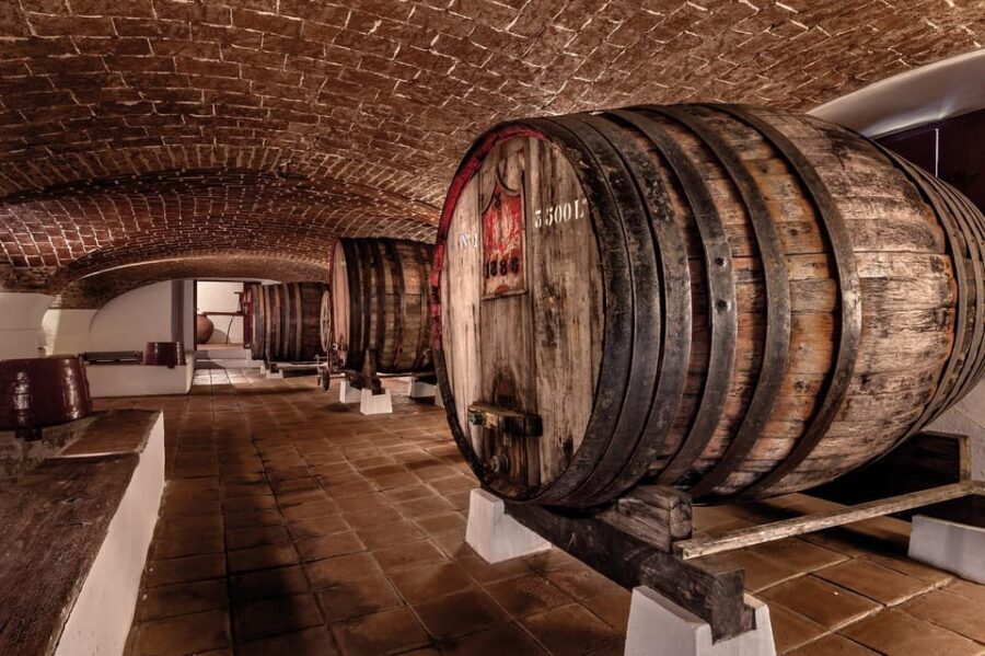 From Lisbon: Évora, Monsaraz, Wine Tasting & Cristo Rei - Price and value: where this tour fits best