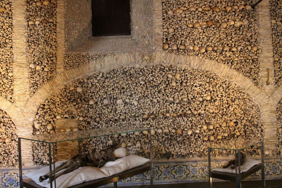 From Lisbon: Évora Private Historic Discovery Tour - A 7-Hour Évora Day That Actually Feels Like a Day