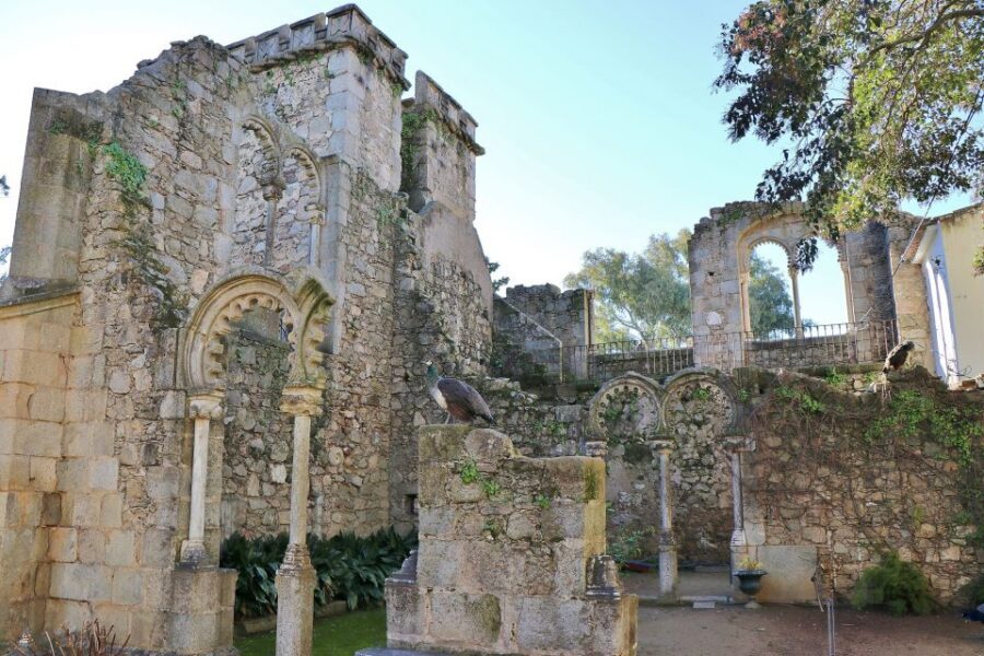 From Lisbon: Évora Private Historic Discovery Tour - The Bone Chapel Experience: Creepy in the Best, Thoughtful Way