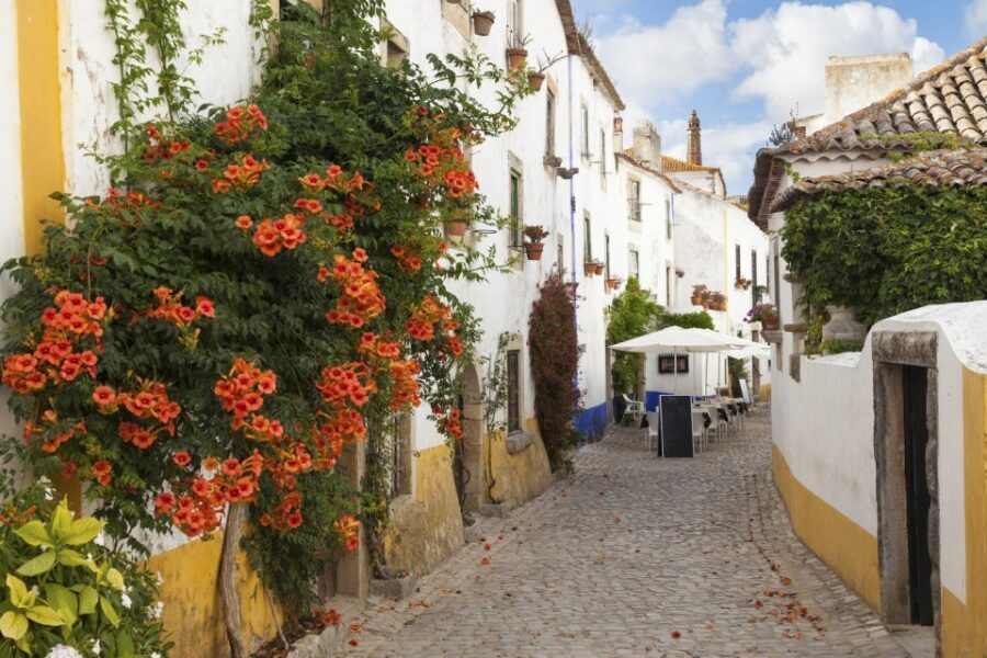 From Lisbon: Fátima, Óbidos Medieval, Nazaré Atlantic Coast - Tour style: group size, language support, and what to expect from the guide