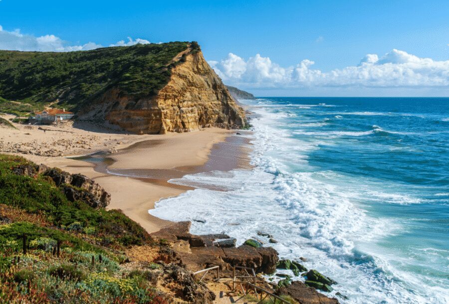 From Lisbon: Mafra Palace and Ericeira - Heritage and the Portuguese Coast - Key things I’d pay attention to