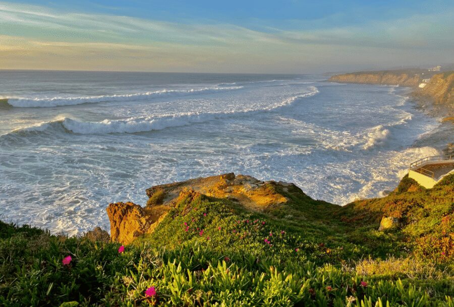 From Lisbon: Mafra Palace and Ericeira - Heritage and the Portuguese Coast - The best part of the tour format: small-group energy