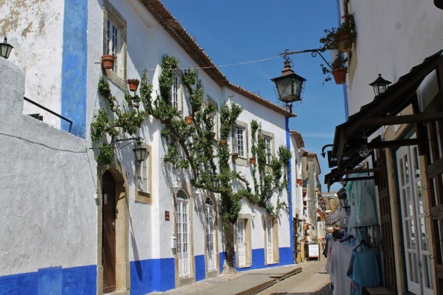From Lisbon: Óbidos and Mafra Palace Private Tour - Private pickup and air-conditioned comfort from Lisbon